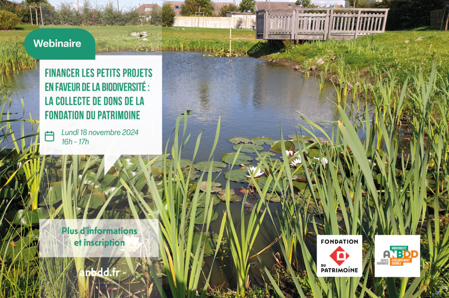 [Webinaire] Financer les petits projets en faveur de la biodiversité : la collecte de dons de la Fondation du patrimoine  