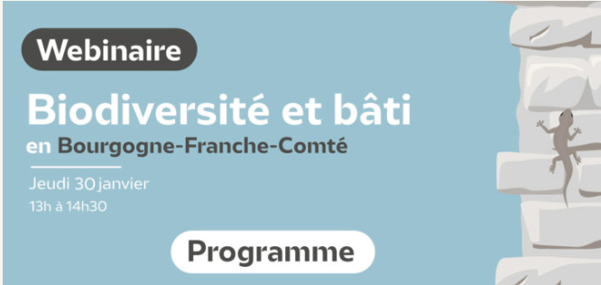 [Webinaire] Biodiversité et bâti en Bourgogne-Franche-Comté