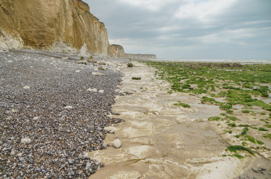 [Webinaire] Plénière Sentinelles de la Mer Normandie