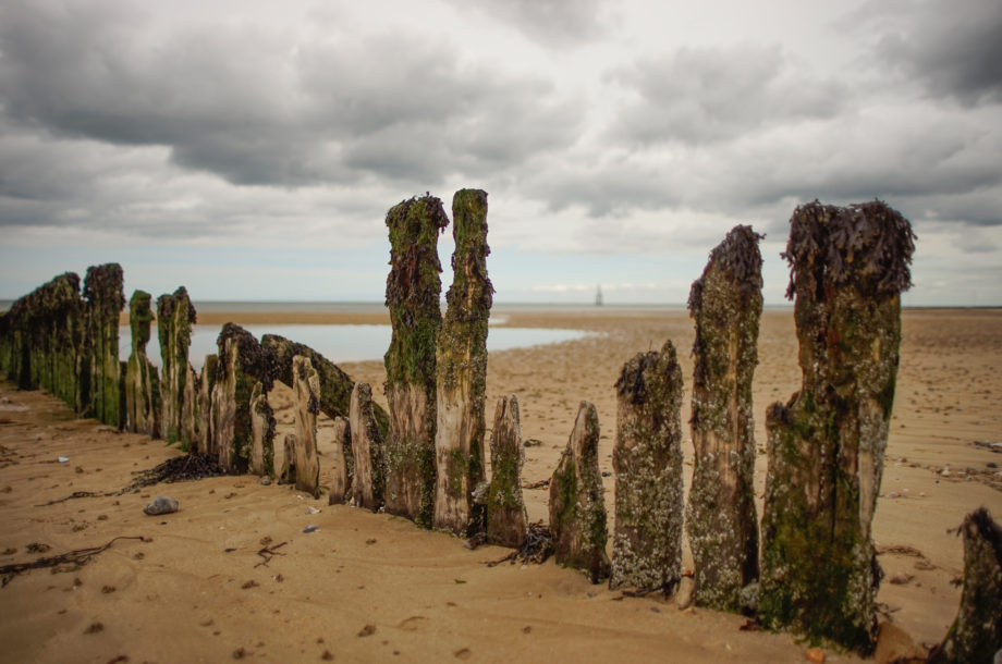 [Colloque] Journées Nationales Génie Côtier – Génie Civil 2026