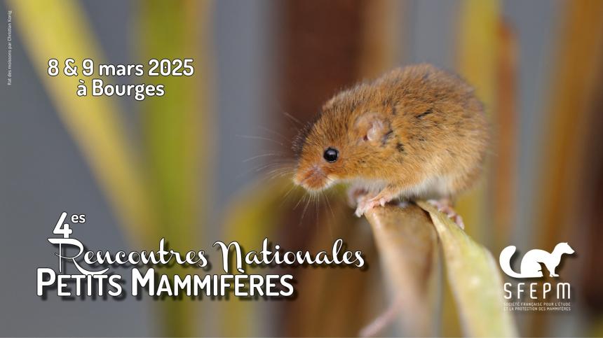 [Rencontres] 4es Rencontres Nationales Petits Mammifères
