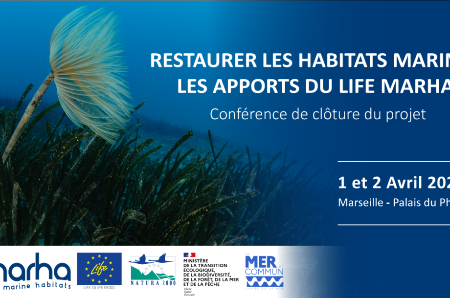 [Conférence] Restaurer les habitats marins : les apports du LIFE Marha – Conférence de fin du projet