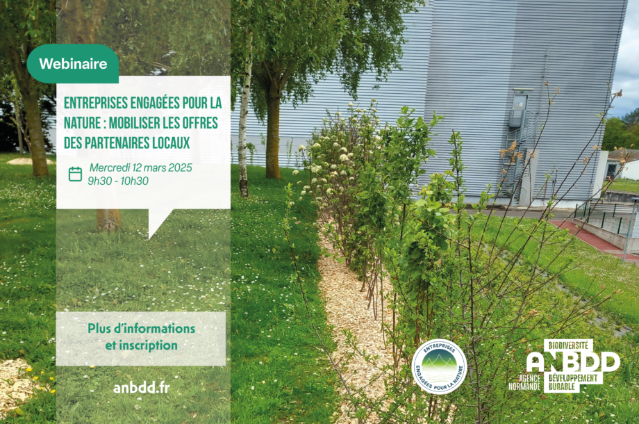 [Webinaire] Entreprises Engagées pour la Nature : mobiliser les offres des partenaires locaux ?