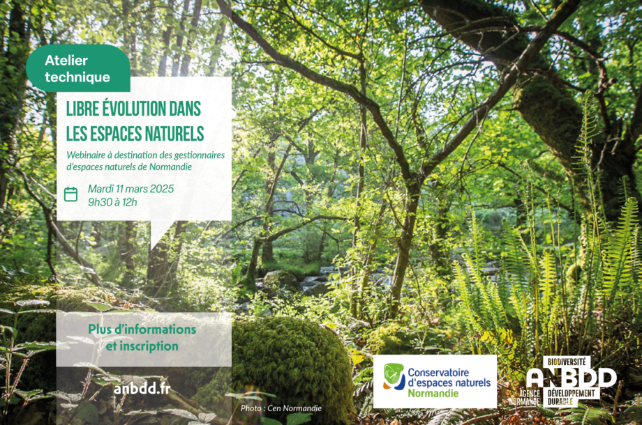 [Webinaire] Atelier technique – Libre évolution dans les espaces naturels