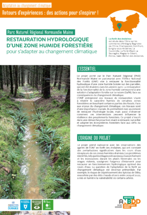 [Retours d’expériences] Restauration hydrologique d’une zone humide forestière pour s’adapter au changement climatique