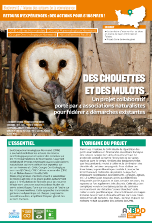 [Retours d’expériences] Des chouettes et des mulots : un projet collaboratif porté par 4 associations naturalistes pour fédérer 4 démarches existantes