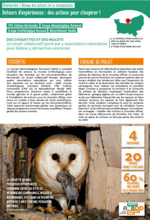 [Retours d’expériences] Des chouettes et des mulots : un projet collaboratif porté par 4 associations naturalistes pour fédérer 4 démarches existantes