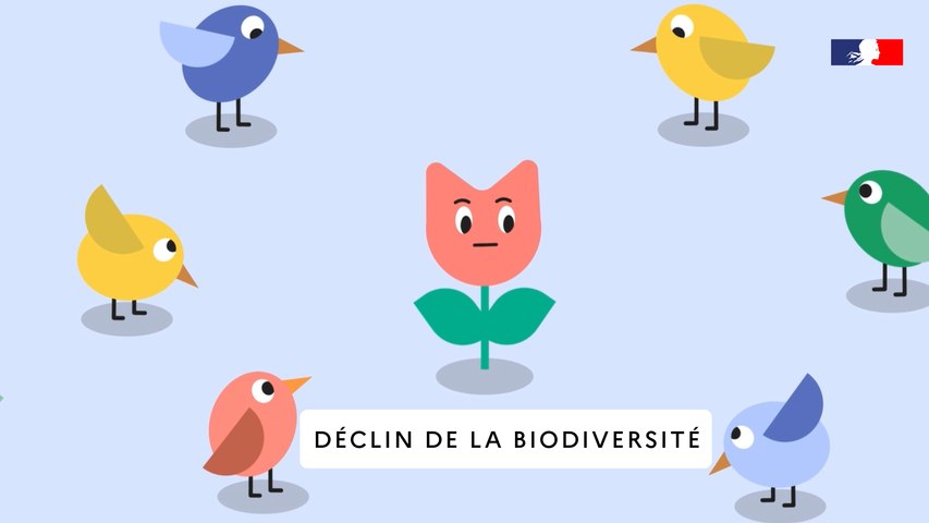Le déclin de la biodiversité