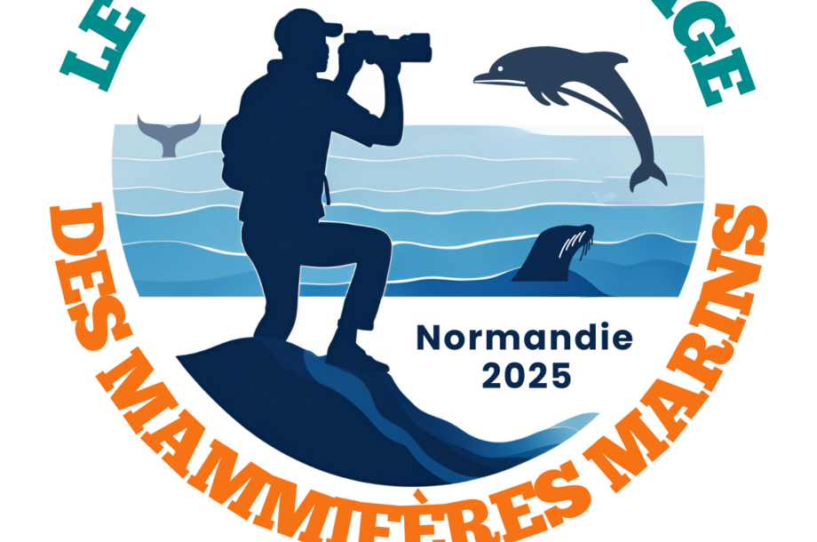 [Appel à mobilisation] Grand Comptage des Mammifères Marins de Normandie – 1e édition