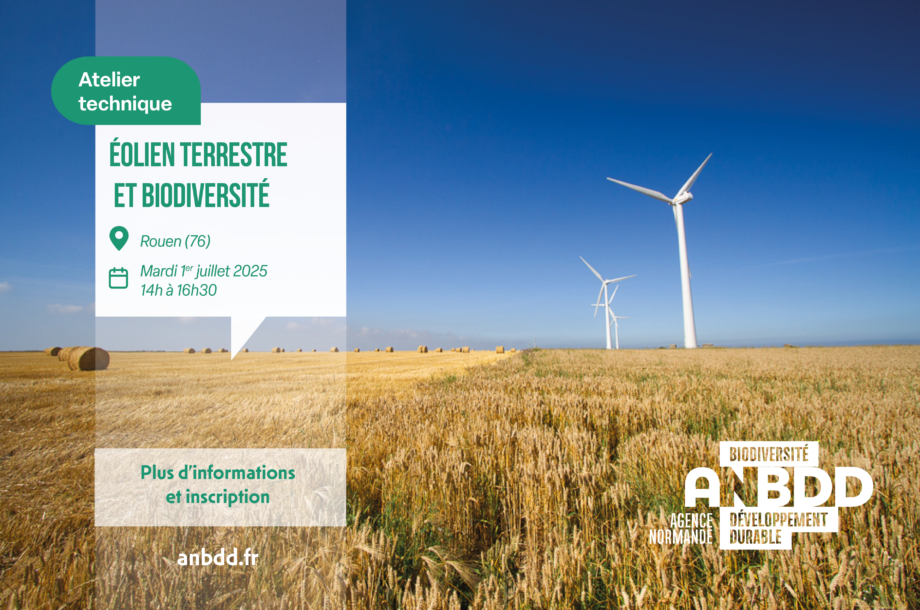[Atelier Technique] Éolien terrestre et biodiversité