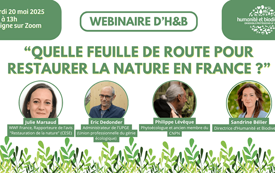 [Webinaire] Quelle feuille de route pour restaurer la nature en France ?