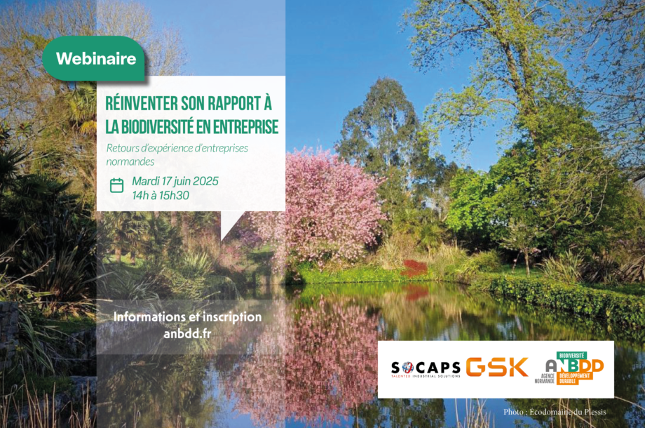 [Webinaire] Réinventer son rapport à la biodiversité en entreprise : retours d’expérience d’actions menées par des entreprises normandes