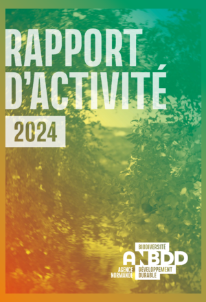 Rapport d’activité 2024