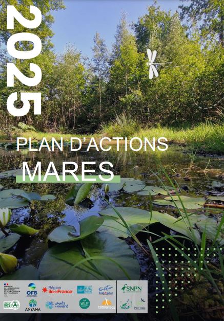 Le Plan d’Actions Mares (PAM) est lancé : un cap national pour les mares à l’horizon 2030