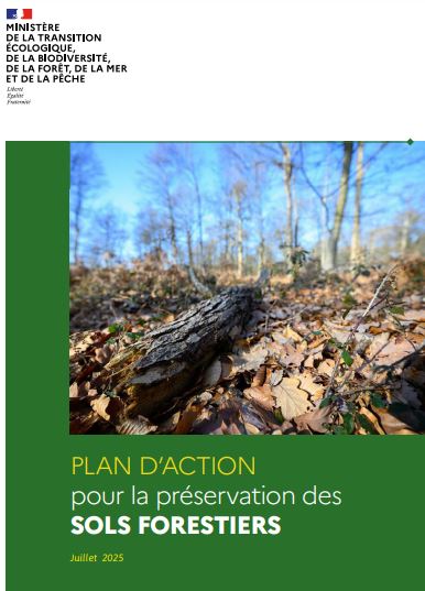 Plan d’action pour la préservation des sols forestiers