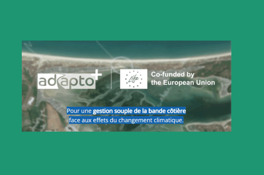 [Webinaire] Vers la gestion souple des littoraux en Europe