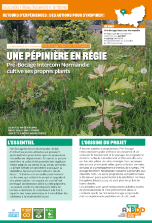 [Retours d’expériences] Une pépinière en régie : Pré-Bocage Intercom Normandie cultive ses propres plants