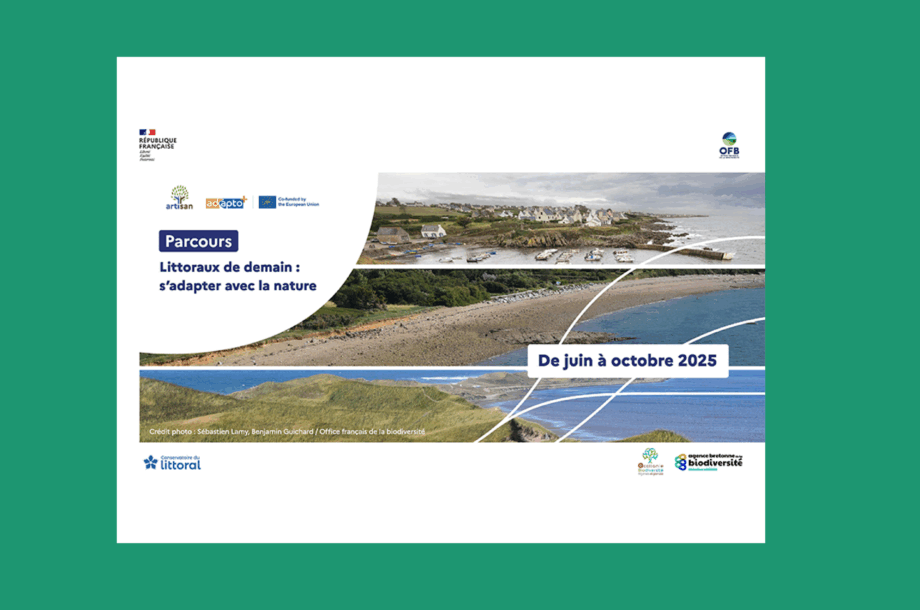 [Webinaire] Les solutions fondées sur la nature en milieu littoral : repérer et mobiliser les financements disponibles – Parcours Littoraux de demain : s’adapter avec la nature !