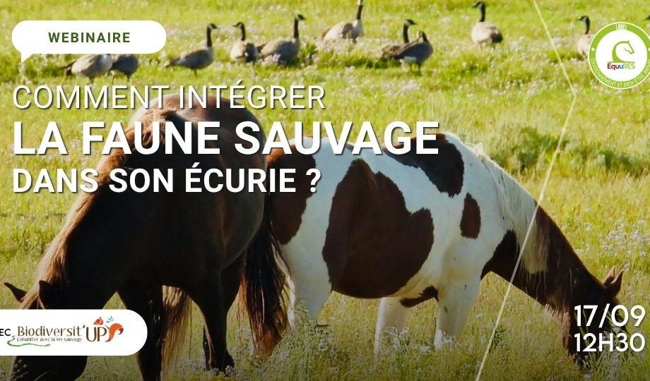 [Webinaire] Comment intéger la faune sauvage dans son écurie ?