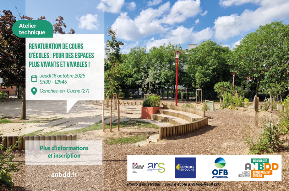 [Atelier technique] Renaturation de cours d’écoles : pour des espaces plus vivants et vivables !