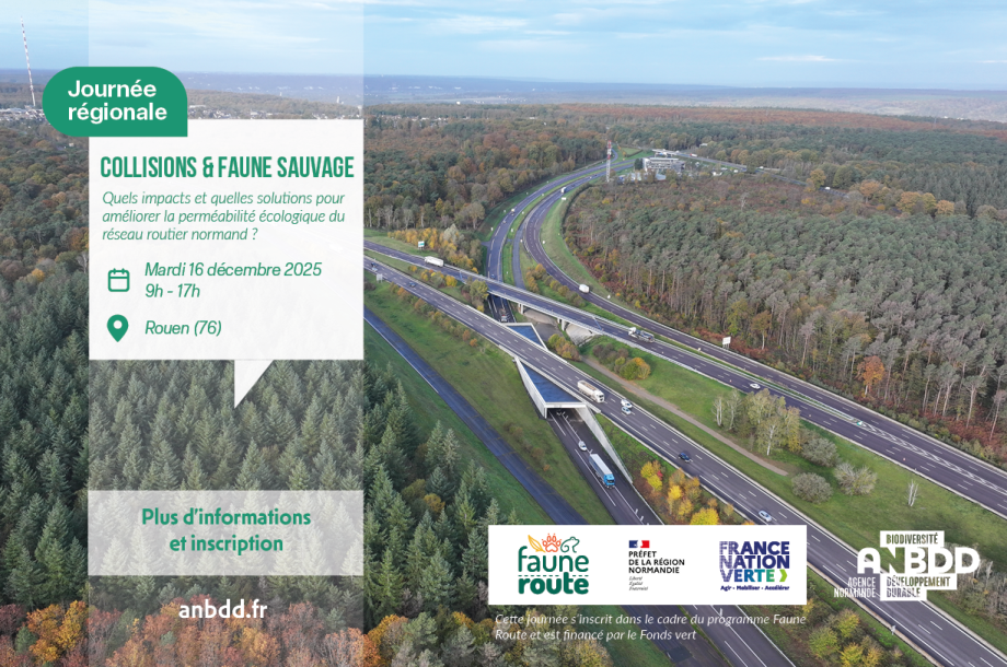 [Journée régionale] Collisions & faune sauvage : quels impacts et quelles solutions pour améliorer la perméabilité écologique du réseau routier normand ?