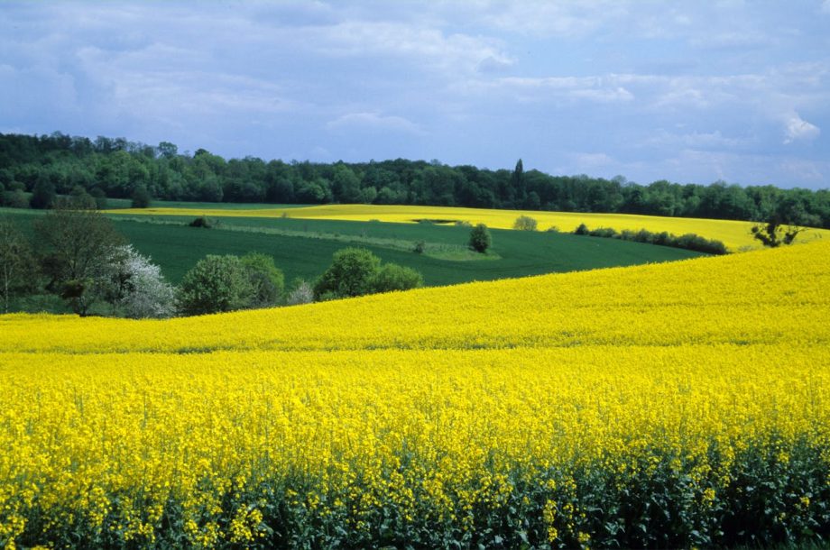 [Appel à participation] Actualisation de l’atlas des paysages de Normandie – Département de l’Eure