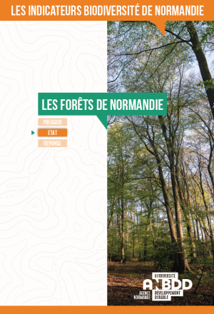Les forêts de Normandie