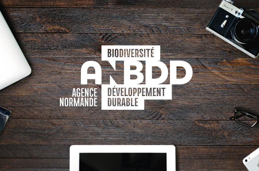 [Vie du GIP] Trois offres de stages à l’ANBDD en 2026