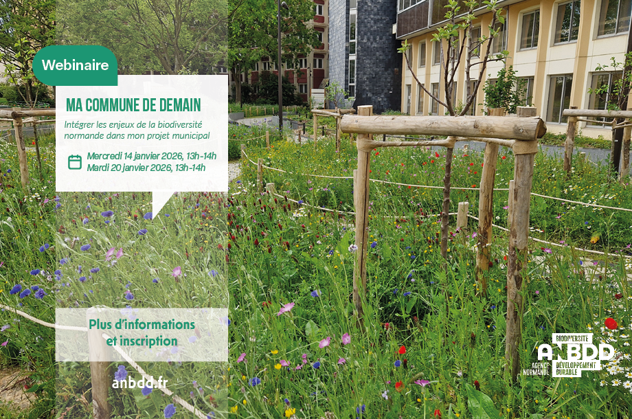 [Webinaire] Ma commune de demain : Intégrer les enjeux de la biodiversité normande dans mon projet municipal (deux dates disponibles)