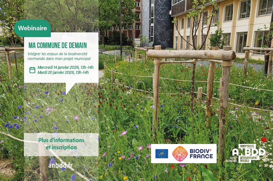 [Webinaire] Ma commune de demain : Intégrer les enjeux de la biodiversité normande dans mon projet municipal (deux dates disponibles)