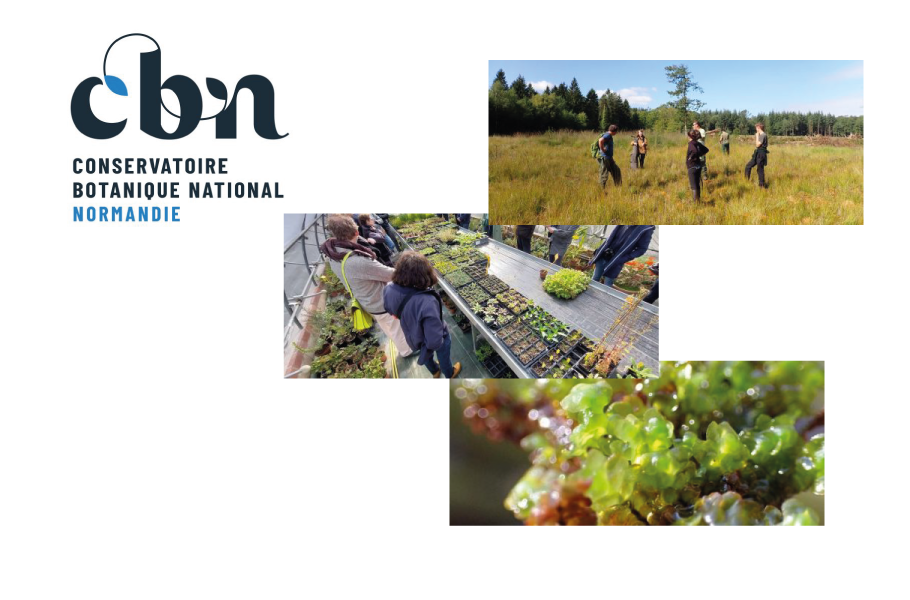 [Nouveau] Le Conservatoire botanique de Normandie officiellement agréé !