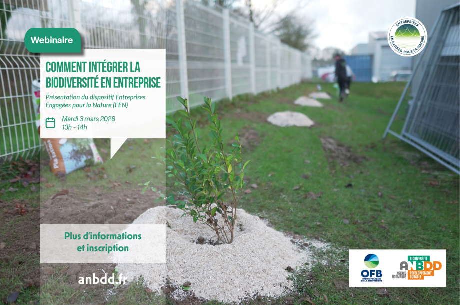 [Webinaire] Comment intégrer la biodiversité en entreprise : présentation du dispositif Entreprises Engagées pour la Nature (EEN)