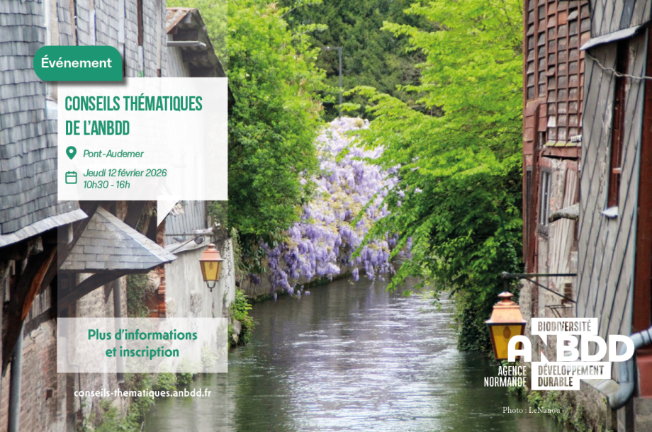 [Événement] Conseils thématiques de l&rsquo;ANBDD