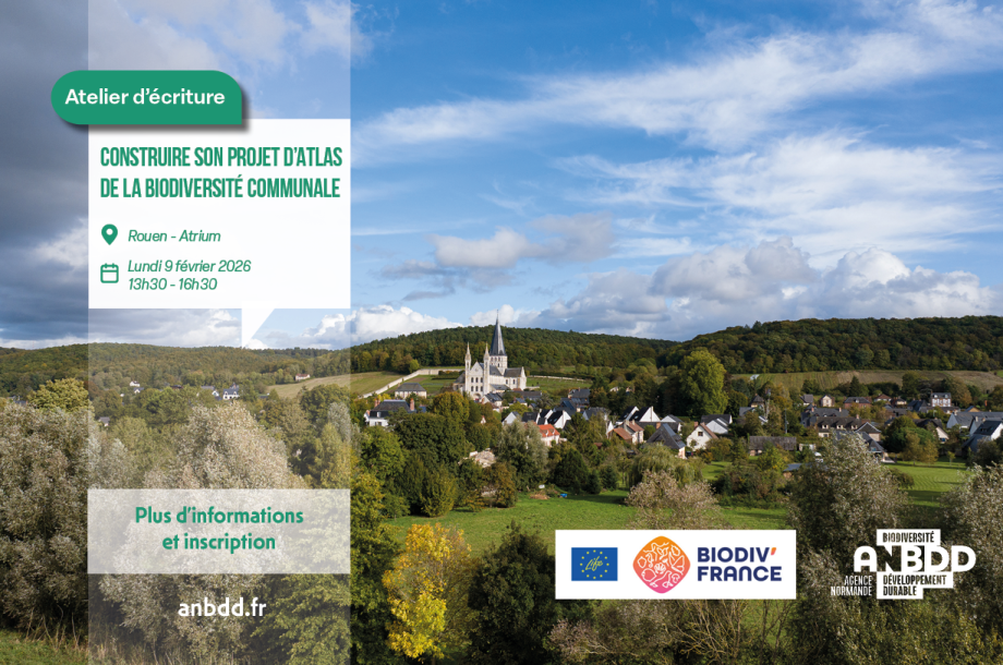 [Atelier écriture] Construire son projet d&rsquo;Atlas de la biodiversité communale – Rouen