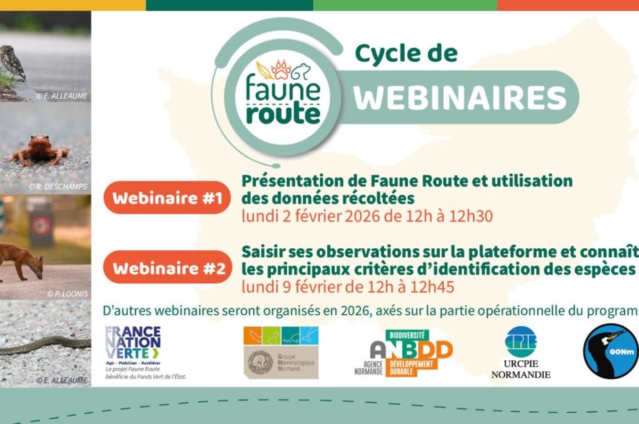 [Webinaire] Présentation de Faune Route et de l’utilisation des données récoltées