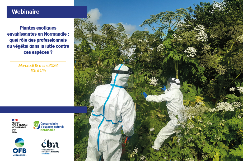 [Webinaire] Plantes exotiques envahissantes en Normandie : quel rôle des professionnels du végétal dans la lutte contre ces espèces ? 