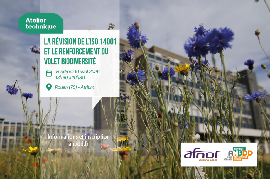 [Atelier technique]  La révision de l&rsquo;ISO 14001 et le renforcement du volet biodiversité