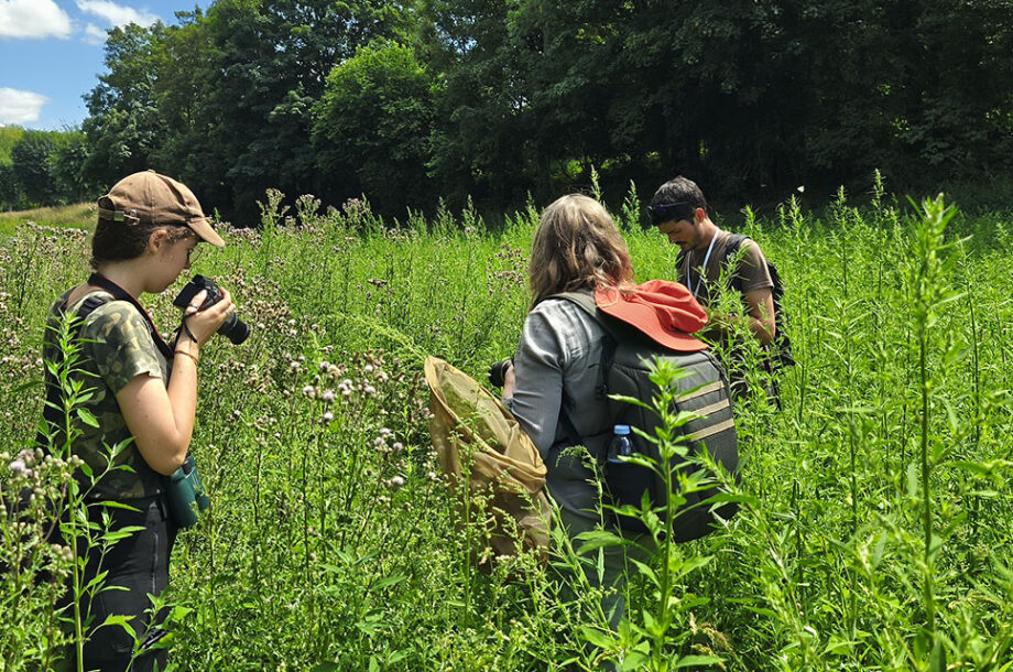 [Webinaire] Le diagnostic écologique : un préalable indispensable à l’aménagement – Cycle Prendre en compte la biodiversité dans l’aménagement opérationnel #3