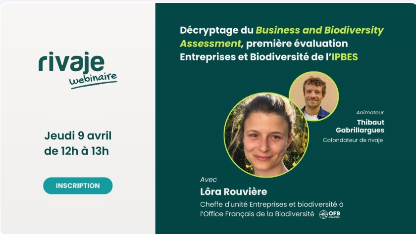 [Webinaire] IPBES Business and Biodiversity Assessment – Décryptage de la première évaluation mondiale dédiée aux liens entre biodiversité et activités économiques