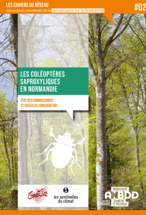 Les coléoptères saproxyliques en Normandie
