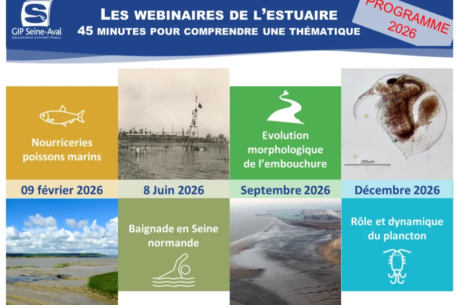 [Webinaire] La baignade en Seine normande