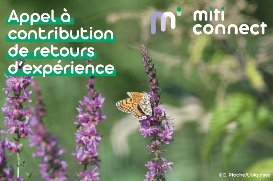 [Webinaire] MitiConnect: retours d&rsquo;expérience
