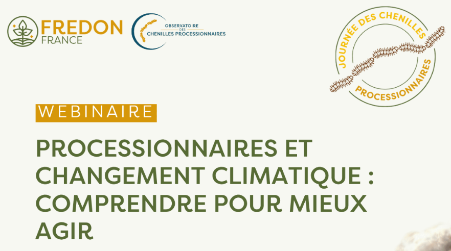 [Webinaire] Chenilles processionnaires et changement climatique : comprendre pour mieux agir