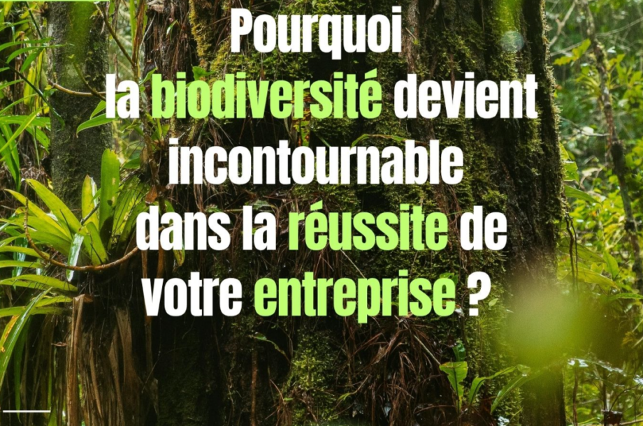 [Matinée] Biodiversité et entreprise : un levier clé pour réussir durablement