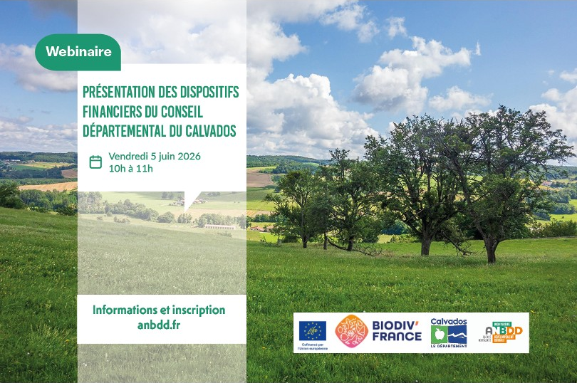 [Webinaire] Présentation des dispositifs financiers du Conseil départemental du Calvados 