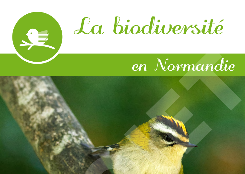 [Participation] Consultez la version de travail du Profil Biodiversité en construction