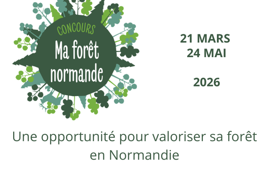 [Concours] Ma forêt normande : une opportunité pour valoriser sa forêt en Normandie