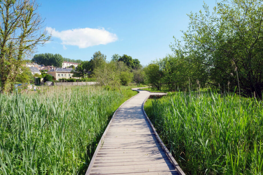 [Visite de terrain] Biodiversité et adaptation au changement climatique : visite du parc de la Sente des rivières (Montivilliers)