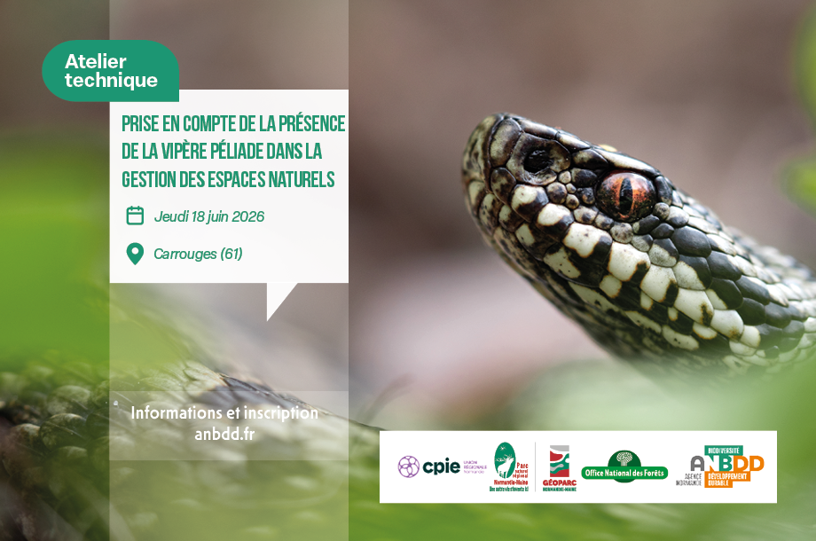 [Atelier Technique] Prise en compte de la présence de la Vipère péliade dans la gestion des espaces naturels