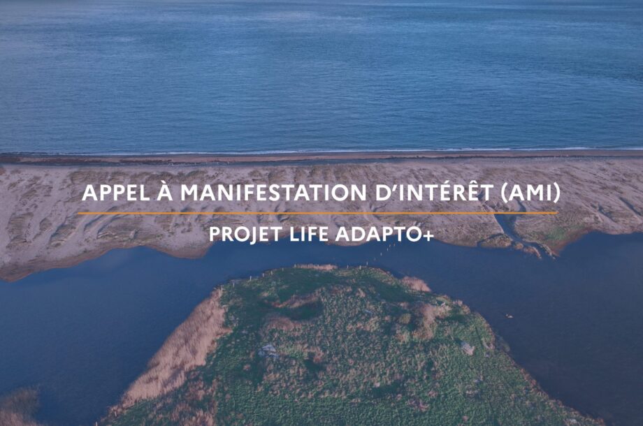 [Appel à manifestation d&rsquo;intérêt] Gestion de la bande côtière dans le cadre du projet LIFE Adapto+ pour accompagner les collectivités